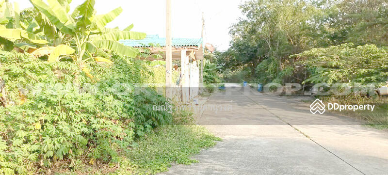 ขาย - ถ.พุทธมณฑลสาย7 ต.คลองใหม่ อ.สามพราน จ.นครปฐม, นครปฐม