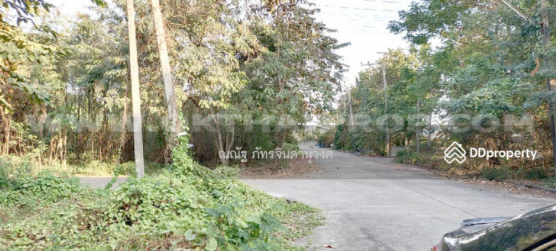 ขาย - ถ.พุทธมณฑลสาย7 ต.คลองใหม่ อ.สามพราน จ.นครปฐม, นครปฐม