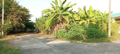 ขาย - ถ.พุทธมณฑลสาย7 ต.คลองใหม่ อ.สามพราน จ.นครปฐม, นครปฐม