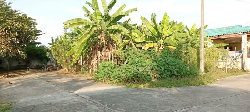 For Sale - ถ.พุทธมณฑลสาย7 ต.คลองใหม่ อ.สามพราน จ.นครปฐม, Nakhon Pathom