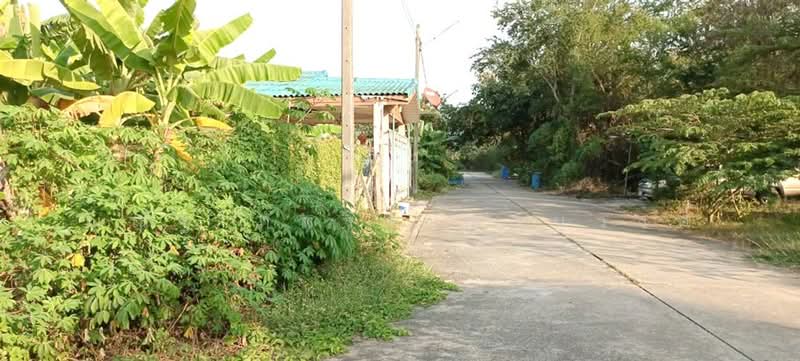 ขาย - ถ.พุทธมณฑลสาย7 ต.คลองใหม่ อ.สามพราน จ.นครปฐม, นครปฐม