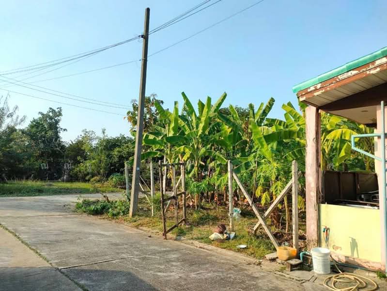 ขาย - ถ.พุทธมณฑลสาย7 ต.คลองใหม่ อ.สามพราน จ.นครปฐม, นครปฐม