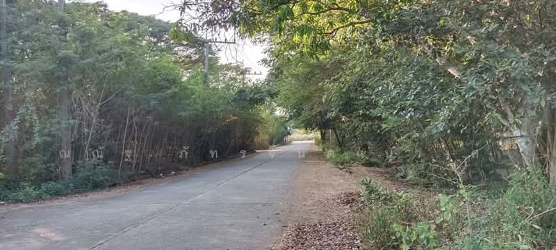 For Sale - ถ.พุทธมณฑลสาย7 ต.คลองใหม่ อ.สามพราน จ.นครปฐม, Nakhon Pathom