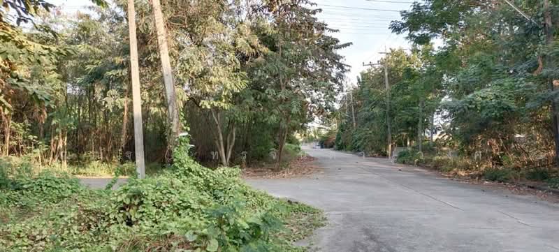 For Sale - ถ.พุทธมณฑลสาย7 ต.คลองใหม่ อ.สามพราน จ.นครปฐม, Nakhon Pathom