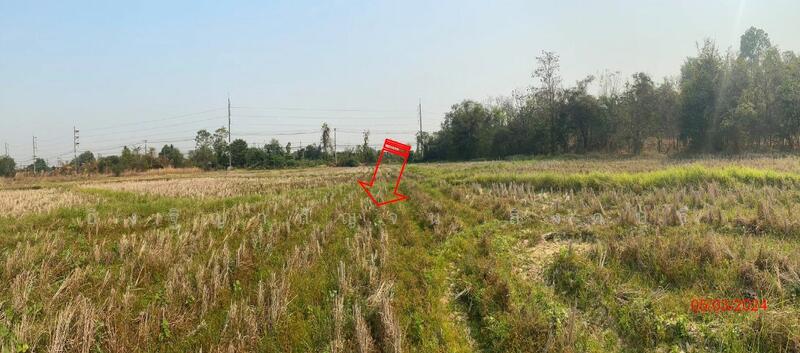 For Sale - ที่ดินเปล่า อ.ร้องกวาง จ.แพร่, Phrae