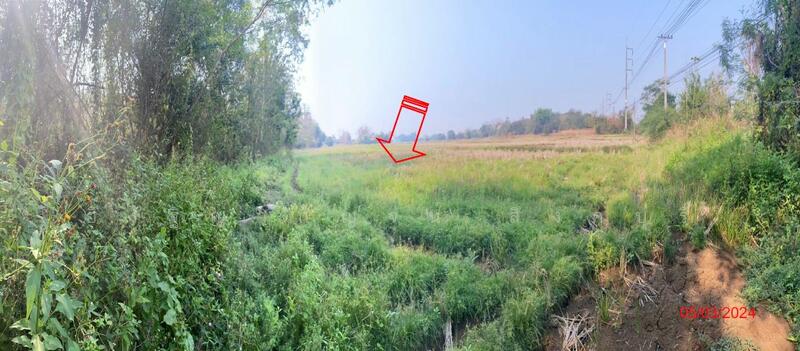 For Sale - ที่ดินเปล่า อ.ร้องกวาง จ.แพร่, Phrae