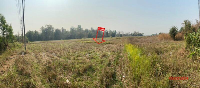 For Sale - ที่ดินเปล่า อ.ร้องกวาง จ.แพร่, Phrae