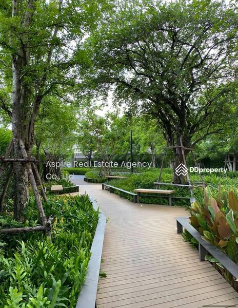 For Sale - Oka Haus Sukhumvit 36, Bangkok
