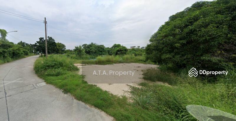 For Sale - Land, Mit Samphan Road, Chonburi-Ang Sila, Chon Buri