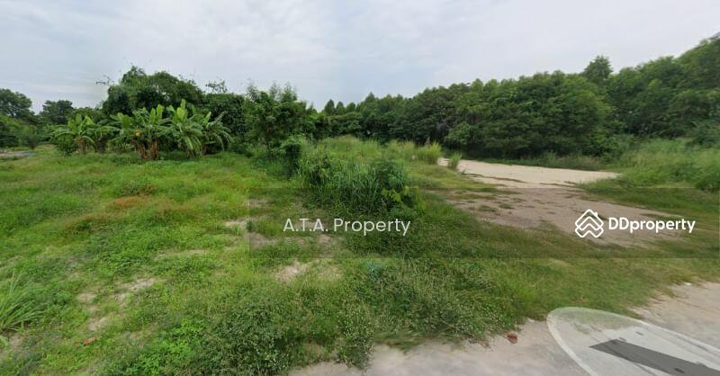 For Sale - Land, Mit Samphan Road, Chonburi-Ang Sila, Chon Buri