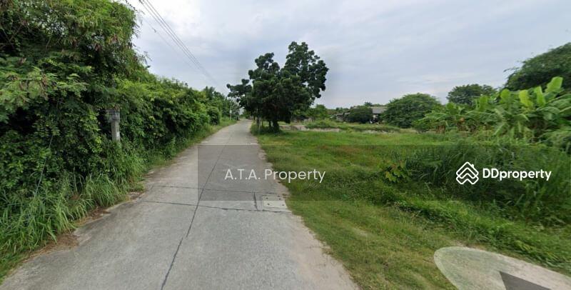 For Sale - Land, Mit Samphan Road, Chonburi-Ang Sila, Chon Buri