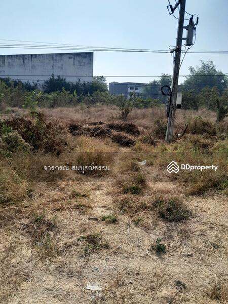 For Sale - ถนน 304 อำเภอปักธงชัย จังหวัดนครราชสีมา 30150, Nakhon Ratchasima