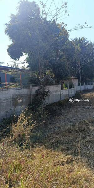 For Sale - บ้านเดี่ยวพร้อมที่ดินนาแก นครพนม, Nakhon Phanom