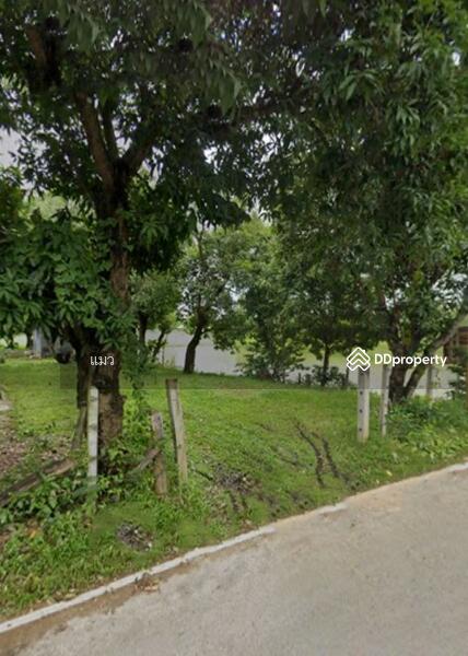 For Sale - บ้านเดี่ยวพร้อมที่ดินนาแก นครพนม, Nakhon Phanom