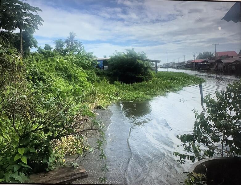 ขายที่ดินติดน้ำ คลองอ้อมนนท์แถมบ้าน3หลัง ใกล้ราชพฤกษ์-กาญจนาฯ, 4-3-19 ไร่, นนทบุรี, บางม่วง, บางใหญ่, นนทบุรี, 7,676 ตร.ม., ที่ดิน ขาย, โดย วิวัฒน์ เวชพงศา, 11759714 - DDproperty.com