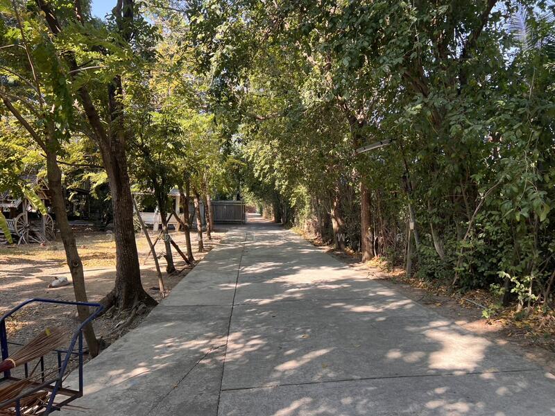 ขาย ที่ดินติดน้ำคลองอ้อมนนท์แถมบ้าน3หลัง ใกล้ราชพฤกษ์-กาญจนาฯ, 4-3-19 ไร่, นนทบุรี, บางม่วง, บางใหญ่, นนทบุรี, 7,676 ตร.ม., ที่ดิน ขาย, โดย วิวัฒน์ เวชพงศา, 11759714 - DDproperty.com