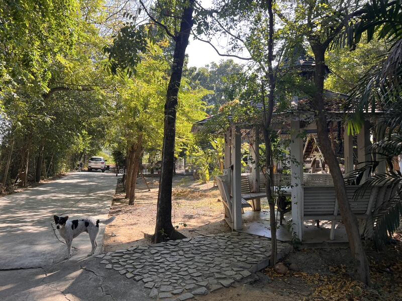 Land for sale next to Khlong Om Non canal, includes 3 houses, near Ratchaphruek-Kanchanaphisek Rd., Nonthaburi, Bang Muang, Bang Yai, Nonthaburi, , 7,676 sqm, Land For Sale, by วิวัฒน์ เวชพงศา, 11759714 - DDproperty.com