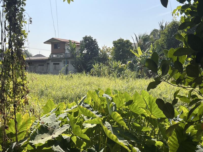 Land for sale next to Khlong Om Non canal, includes 3 houses, near Ratchaphruek-Kanchanaphisek Rd., Nonthaburi, Bang Muang, Bang Yai, Nonthaburi, , 7,676 sqm, Land For Sale, by วิวัฒน์ เวชพงศา, 11759714 - DDproperty.com