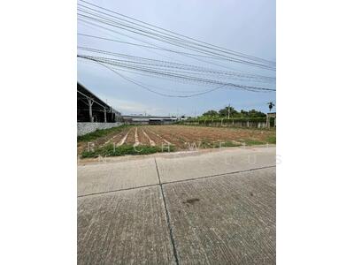 ขาย - ขายที่ดินตาขัน ติดถ.คอนกรีตเนื้อที่ 197 ตรว. ติดหมู่บ้านเอกนรินทร์ ใกล้ถ.เชิงเนิน-ชากบก, ระยอง
