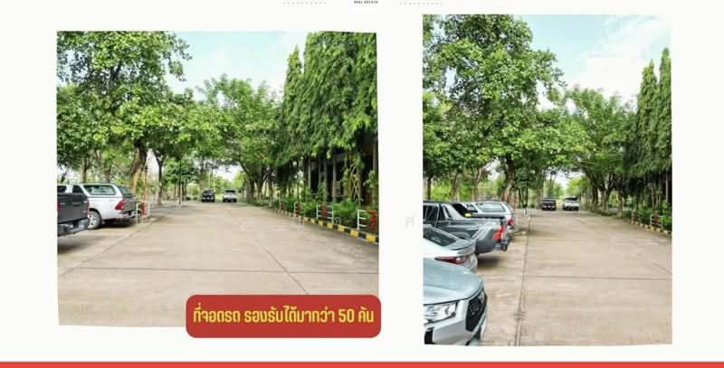 ขายยกกิจการโรงแรม The Green Hotel 304 ตำบลท่าตูม อำเภอศรีมหาโพธิ จังหวัดปราจีนบุรี, ปราจีนบุรี, 304, ท่าตูม, ศรีมหาโพธิ, ปราจีนบุรี, 10,000 ตร.ม., กิจการ ขาย, โดย ปาณชญา ศรีนวล, 11760047 - DDproperty.com