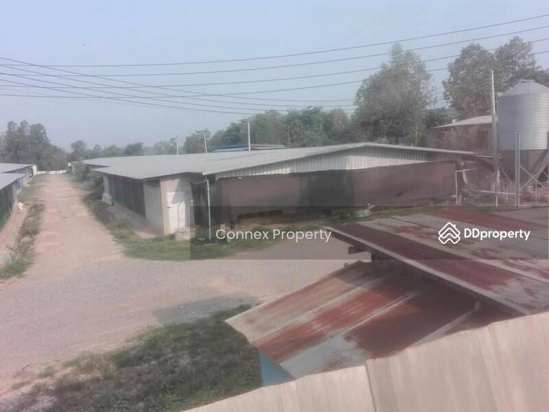 For Sale - chicken farm for sale ขายฟาร์มไก่พันธ์เนื้อ, Lampang