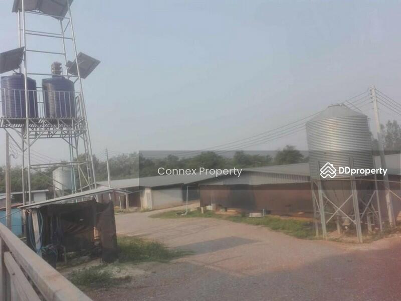 For Sale - chicken farm for sale ขายฟาร์มไก่พันธ์เนื้อ, Lampang