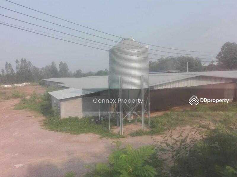 For Sale - chicken farm for sale ขายฟาร์มไก่พันธ์เนื้อ, Lampang