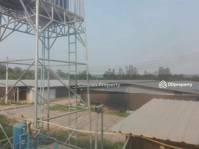 For Sale - chicken farm for sale ขายฟาร์มไก่พันธ์เนื้อ, Lampang