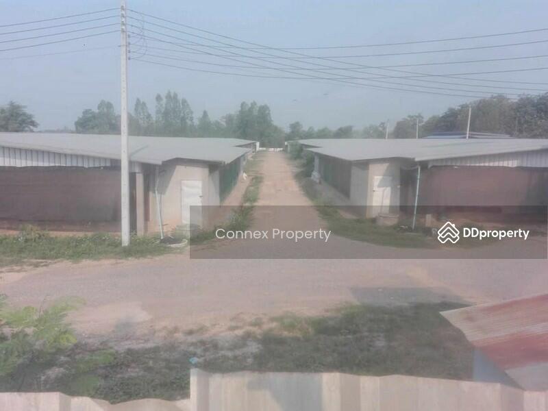 For Sale - chicken farm for sale ขายฟาร์มไก่พันธ์เนื้อ, Lampang