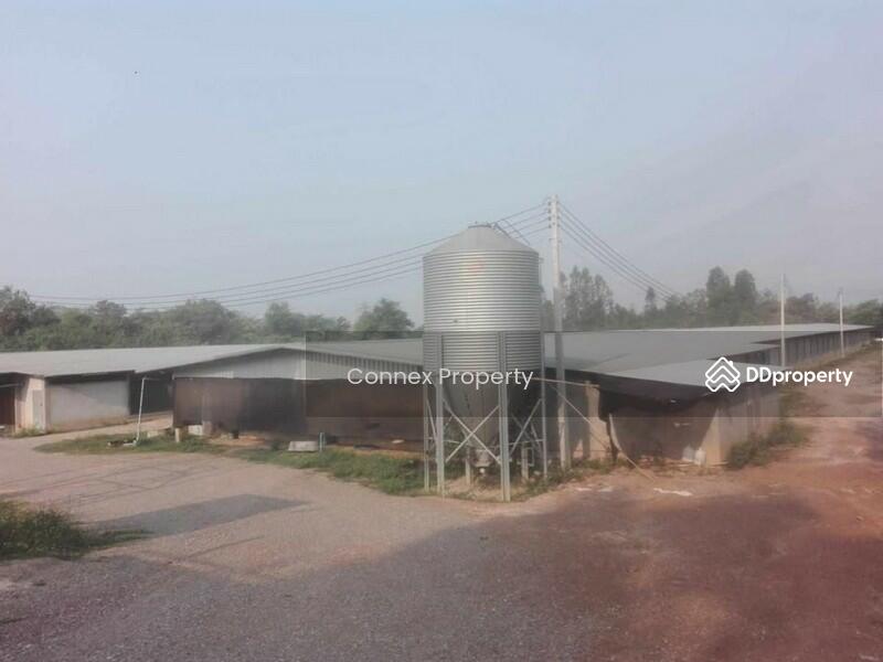 For Sale - chicken farm for sale ขายฟาร์มไก่พันธ์เนื้อ, Lampang