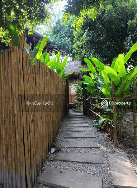 ให้เช่า - 55000, น่าน