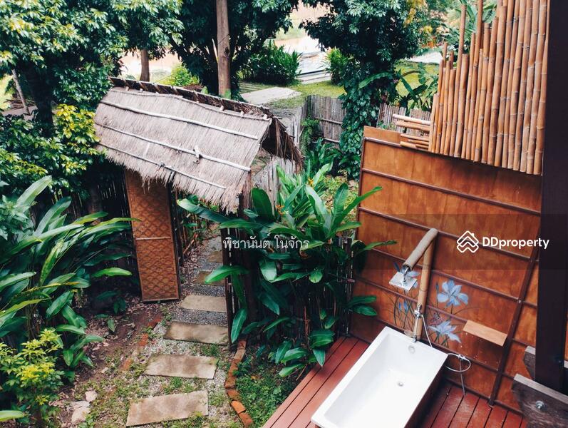 ให้เช่า - 55000, น่าน