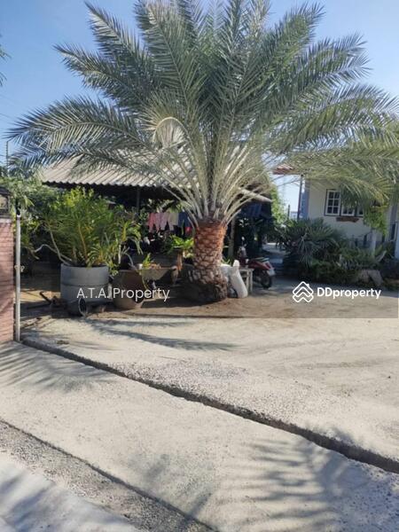 For Sale - Land for sale in Ban Puk, Chonburi, with a 3 bedroom detached house, Chon Buri