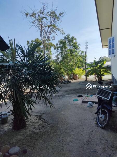 For Sale - Land for sale in Ban Puk, Chonburi, with a 3 bedroom detached house, Chon Buri