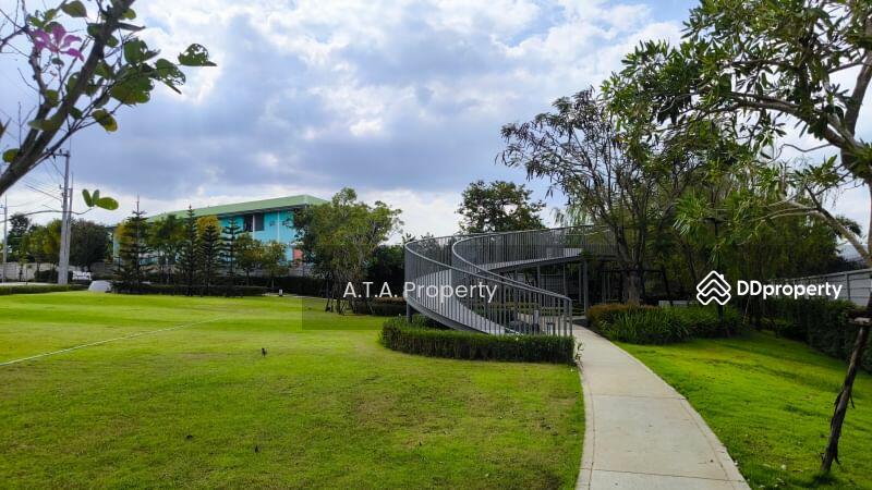 For Sale - Supalai Palm Springs Borwin-Eastern, Chon Buri