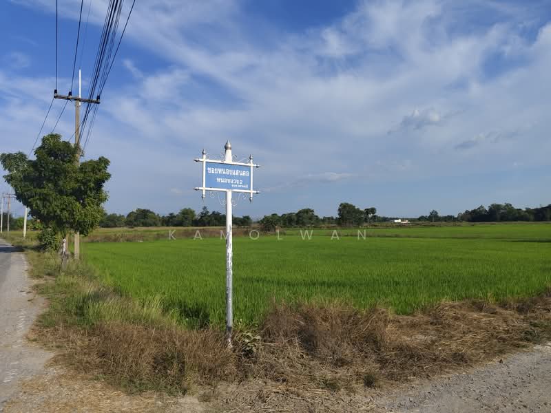 Land in Nakhon Nayok, next to the road, beautiful plot, already filled, area 2 rai 45 wa. (KTR), Nakhon Nayok, Phrommani, Muang Nakhon Nayok, Nakhon Nayok, , 3,380 sqm, Land For Sale, by Kamolwan, 11761959 - DDproperty.com