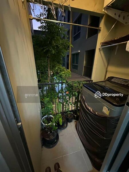 For Sale - Plum Condo Laemchabang, Chon Buri