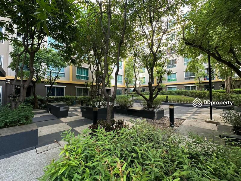 For Sale - Plum Condo Laemchabang, Chon Buri