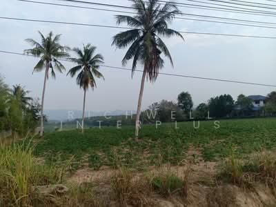 ขาย - ขายที่ดินนิคมพัฒนา ทำเลดี 24 ไร่ หน้ากว้าง80เมตรติดถนนเส้น3376, ระยอง