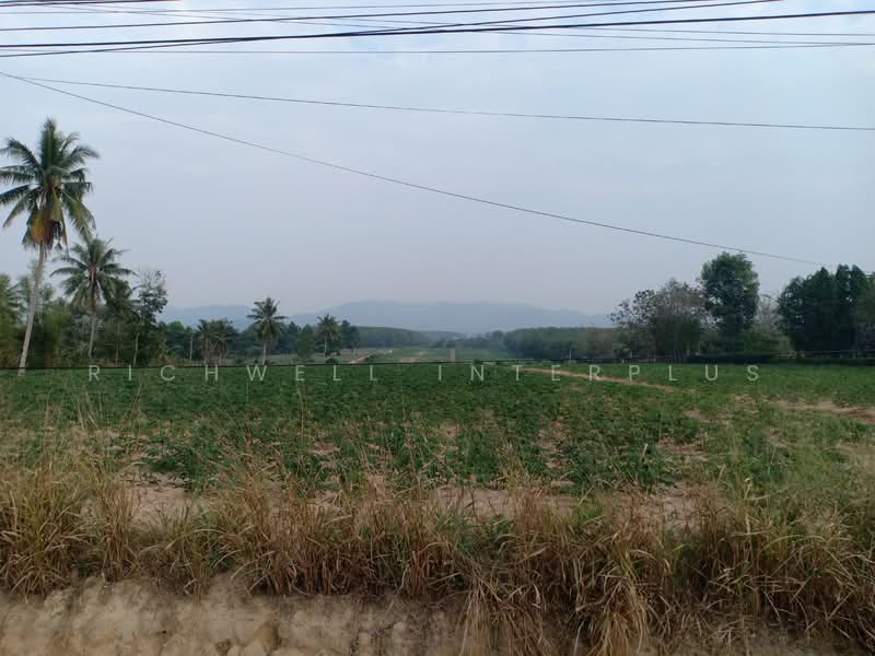 ขายที่ดินนิคมพัฒนา ทำเลดี 24 ไร่ หน้ากว้าง80เมตรติดถนนเส้น3376, ระยอง, มะขามคู่, นิคมพัฒนา, ระยอง, 39,116 ตร.ม., ที่ดิน ขาย, โดย RICHWELL INTERPLUS, 11762748 - DDproperty.com