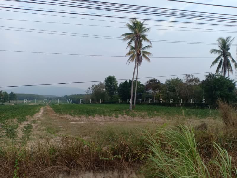 ขายที่ดินนิคมพัฒนา ทำเลดี 24 ไร่ หน้ากว้าง80เมตรติดถนนเส้น3376, ระยอง, มะขามคู่, นิคมพัฒนา, ระยอง, 39,116 ตร.ม., ที่ดิน ขาย, โดย RICHWELL INTERPLUS, 11762748 - DDproperty.com