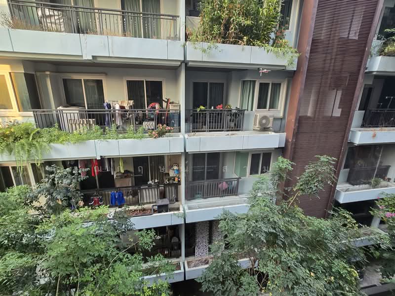 Quintara Arte Sukhumvit 52, Bangkok, Soi Sukhumvit 52, Sukhumvit Road, Bang Chak, Phra Khanong, Bangkok, 1 Bedroom, 29 sqm, Condo For Rent, by กาณกฤษณ์ สามารถ, 11763595 - DDproperty.com