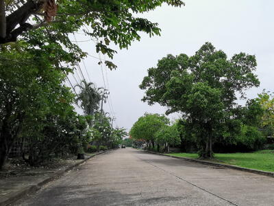 ขาย - Windmill Park : วินด์มิลล์ พาร์ค, สมุทรปราการ