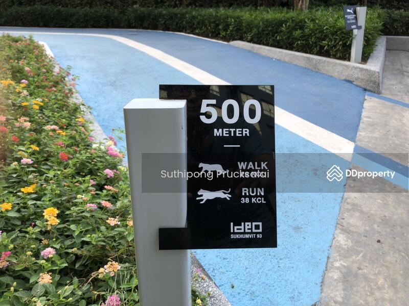 ให้เช่า - IDEO Sukhumvit 93 : ไอดีโอ สุขุมวิท 93, กรุงเทพ