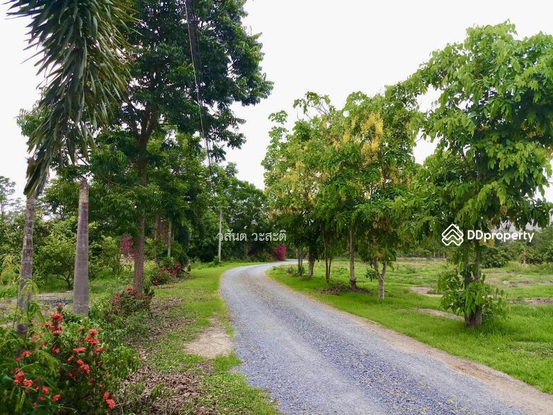 ขาย - ขายที่ดินพร้อมบ้าน+ฟาร์มโคขุน+ สวนผสม สุพรรณบุรี ดอนเจดีย์ 35 ไร่ (280,000/ไร่), สุพรรณบุรี