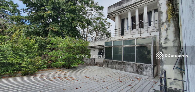 ขาย - Neo-City Donmuang : นีโอซิตี้ ดอนเมือง, กรุงเทพ