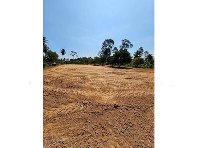 ขาย - ขายที่ดิน ถมเรียบร้อยสวยๆ ห้วยยายจีน, พัทยา, ชลบุรี