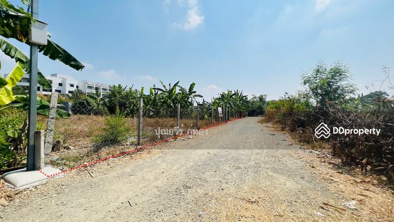 ที่ดินเอกชัย 99/1 ข้าง รพ.นครธน 2 ตรงข้ามเดอะริซ พลาซ่า 200 ตรว. ราคาถูกสุด