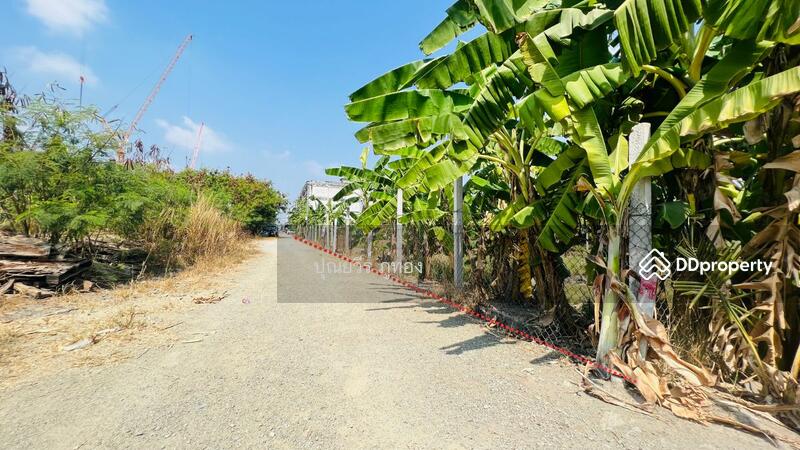 ที่ดินเอกชัย 99/1 ข้าง รพ.นครธน 2 ตรงข้ามเดอะริซ พลาซ่า 200 ตรว. ราคาถูกสุด