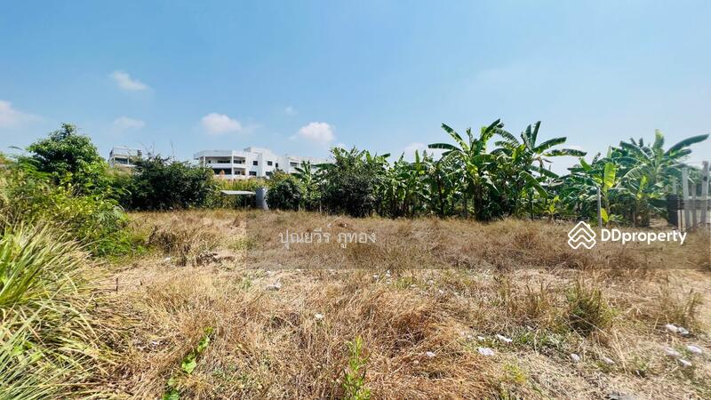 ที่ดินเอกชัย 99/1 ข้าง รพ.นครธน 2 ตรงข้ามเดอะริซ พลาซ่า 200 ตรว. ราคาถูกสุด